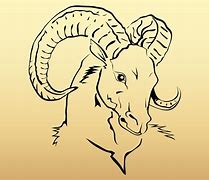 Image result for Goat Head Sketch