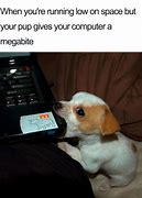 Image result for Cloudy Day Dog Memes