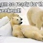 Image result for Funny Animals Happy Weekend