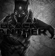 Image result for Black Panther in Darkness