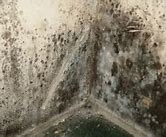 Image result for Moldy Bathroom
