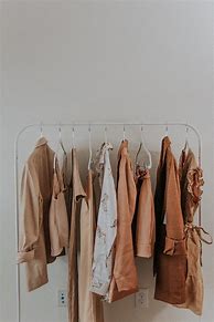 Image result for Shirt Hanger