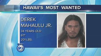Image result for Current Hawaii's Most Wanted's