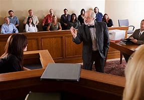 Image result for Lawyer in Courtroom