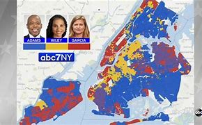 Image result for NYC Election Results Map
