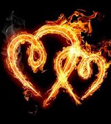 Image result for Hearts On Fire Flower