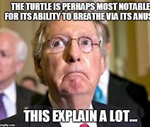Image result for Mitch McConnell Turtle Meme