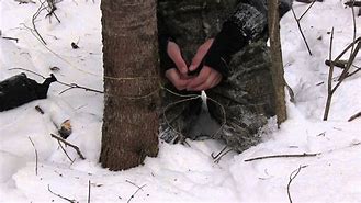 Image result for Winter Rabbit Snare