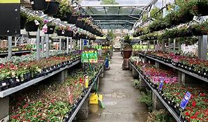 Image result for Home Depot Lawn and Garden