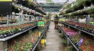 Image result for Home Depot Garden Shop