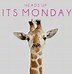 Image result for Monday Over Funny