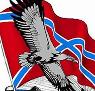 Image result for Russian Confederate Flag