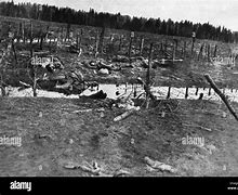 Image result for World War 1 Cadavers