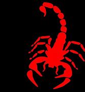Image result for Scorpion Symbol Wallpaper