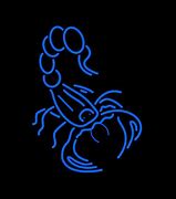 Image result for Neon Blue Scorpion