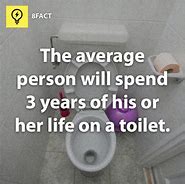 Image result for Funny Useless Facts