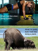 Image result for Workout Motivation Meme Funny
