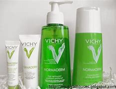 Image result for Vichy Police