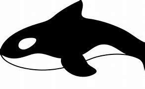 Image result for Whale Clip Art Outline