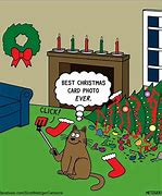 Image result for Christmas Cartoons Humor Cats