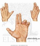 Image result for Pope's Blessing Hand