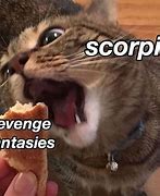 Image result for Scorpion Meme