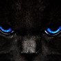 Image result for Black Jaguar with Blue Eyes