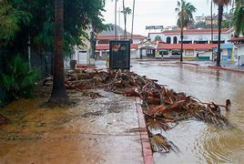 Image result for Tropical Storm Cabo San Lucas