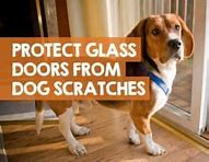 Image result for Removing Dog Scratches On Glass