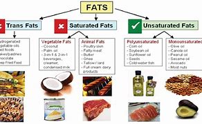 Image result for Examples of Bad Fats