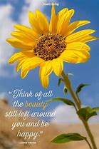 Image result for Brighten Your Day Card Quotes