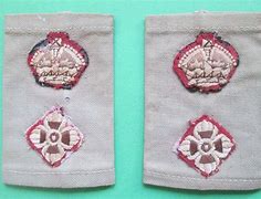 Image result for WW2 German SS General Collar Patch