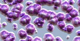 Image result for Rise in superbugs