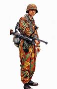 Image result for Waffen SS Panzer Grenadier