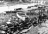 Image result for Nanjing Massacre Deaths