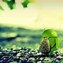 Image result for Pretty Wallpapers for Tablets