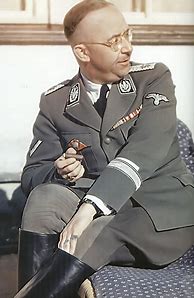 Image result for Heinrich Himmler Awards