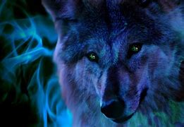 Image result for Amazon Wallpaper for Fire Tablet Wolves