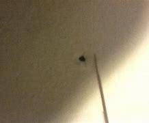 Image result for Wall Covers Hole in Drywall