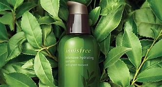 Image result for Innisfree Brand