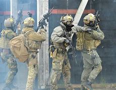 Image result for Special Operations Forces