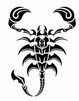 Image result for Scorpion Tribal Design Decals