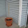 Image result for Terracotta Potted Plants