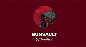 Image result for GunVault