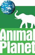 Image result for Animal Planet Channel Logo