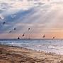 Image result for Martha's Vineyard Beaches Map