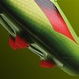 Image result for New Adidas Cleats