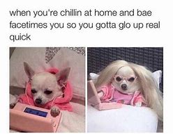 Image result for Funny Text Memes Dog