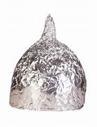 Image result for Aluminum Foil Hats Aliens