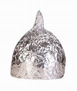 Image result for Aluminum Tin Foil Hat